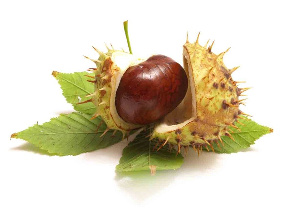 VariForce cream contains horse chestnut extract