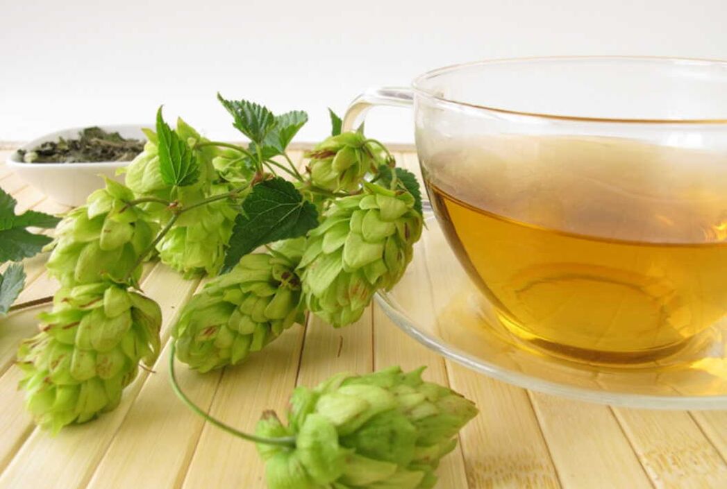 Decoction of hop cones for varicose veins